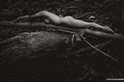 Wood and form Artistic Nude Photo by Photographer MadiouART