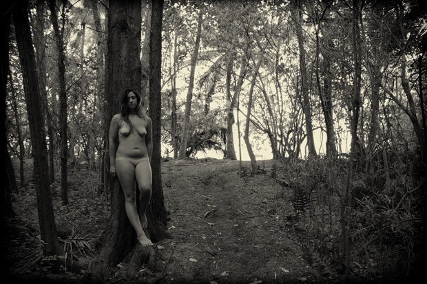 Wooded Path Artistic Nude Photo by Photographer Jason Tag