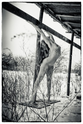 World Wild North I Artistic Nude Photo by Photographer Leschallier