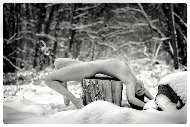 World Wild North II Artistic Nude Photo by Photographer Leschallier