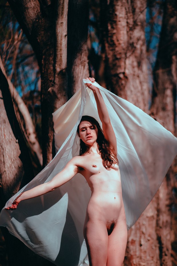 Wren 14 Artistic Nude Photo by Photographer TateChmielewski