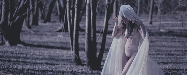 Wren 3 Artistic Nude Photo by Photographer TateChmielewski