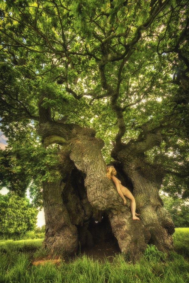 Wyndham Oak Companion Nature Photo by Photographer TreeGirl