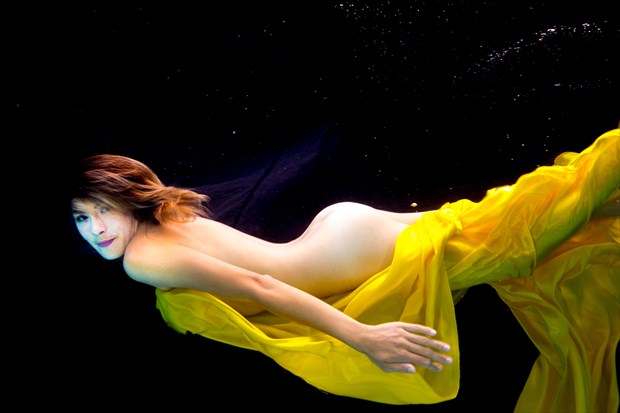 Yellow Below Artistic Nude Photo by Photographer Al Fess
