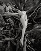 Yellowstone Artistic Nude Artwork by Photographer Christopher Ryan