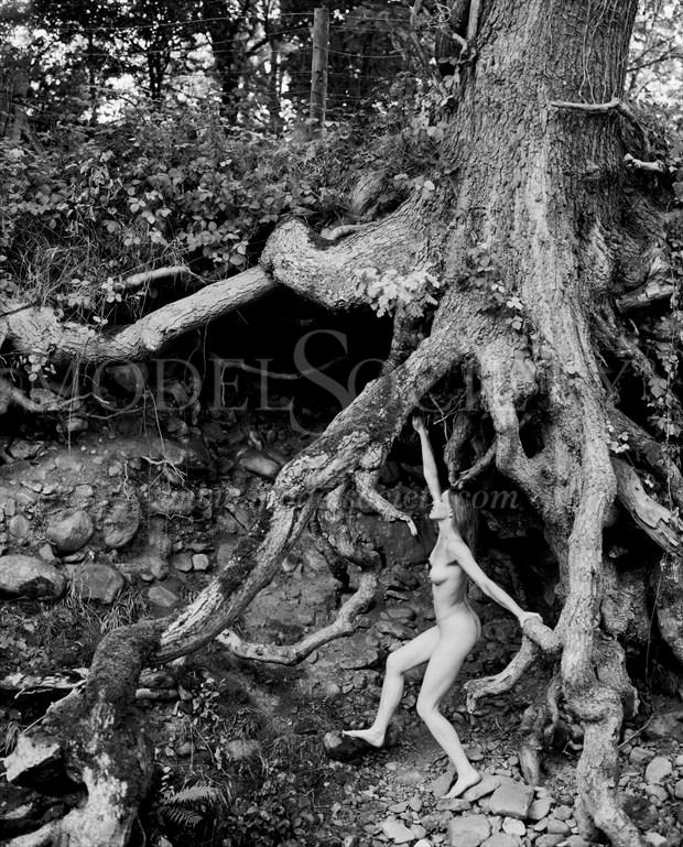 Yvonne and tree Artistic Nude Photo by Photographer John Keedwell