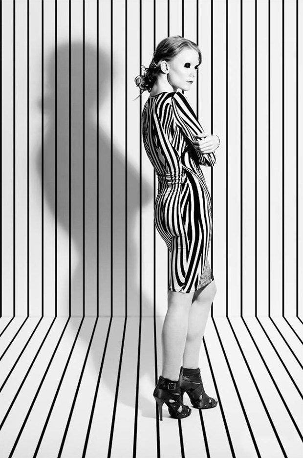 Zebra Abstract Photo by Model Constantine Snow