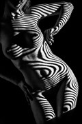 Zebrawoman 1 Artistic Nude Photo by Photographer Looking_Eye