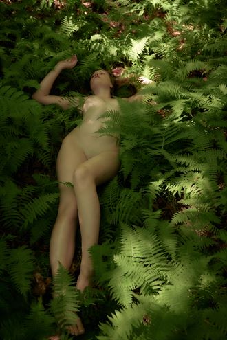 a bed of ferns artistic nude artwork by photographer daniel tirrell photo