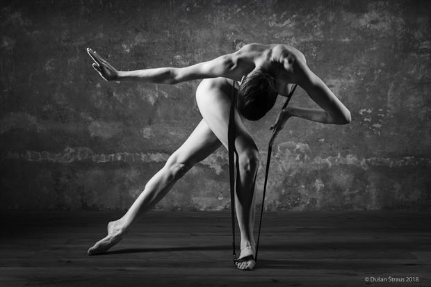 a dance iii artistic nude artwork by photographer du%C5%A1an %C5%A1traus