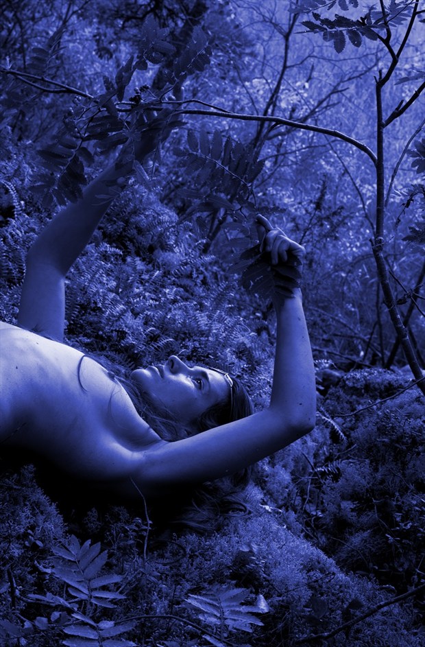 a fairy IV Artistic Nude Photo by Photographer ricopic