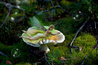 a fairy fine mushroom artistic nude photo by photographer rare earth gallery