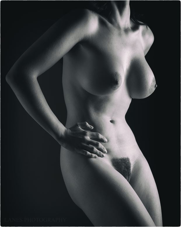a fine figure artistic nude photo by photographer lanes photography