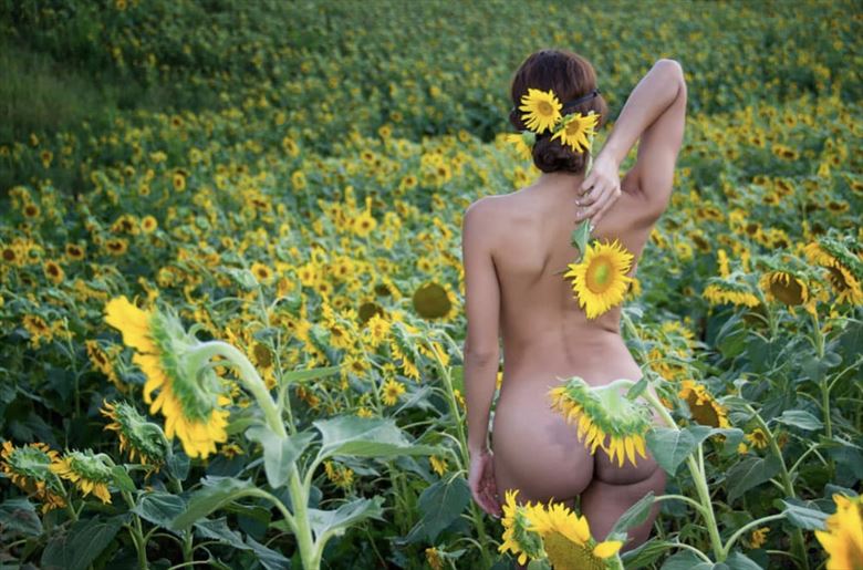 a flower lost within flowers artistic nude photo by model eidan angelica