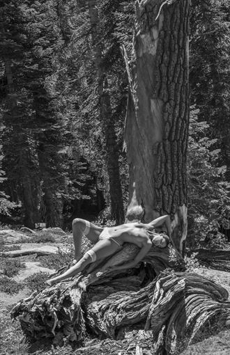 a girl and her tree artistic nude photo by photographer mslygh