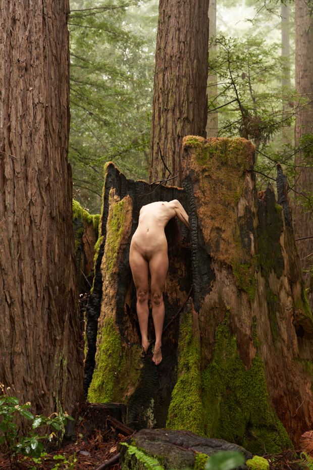 a little off the top artistic nude photo by photographer dstauffman