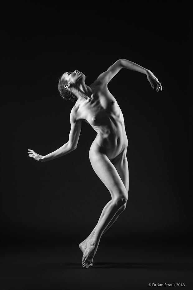 a passionate dance artistic nude artwork by photographer du%C5%A1an %C5%A1traus