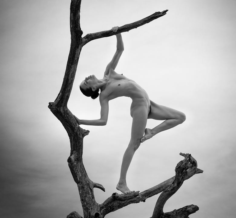 a salute to heaven artistic nude photo by photographer louis sauter