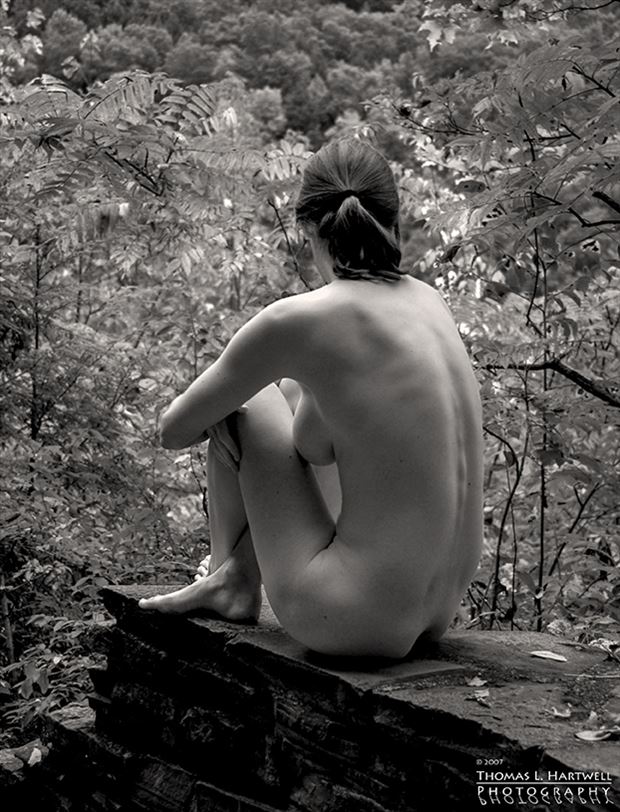a seat in the woods artistic nude photo by photographer mainemainphotography