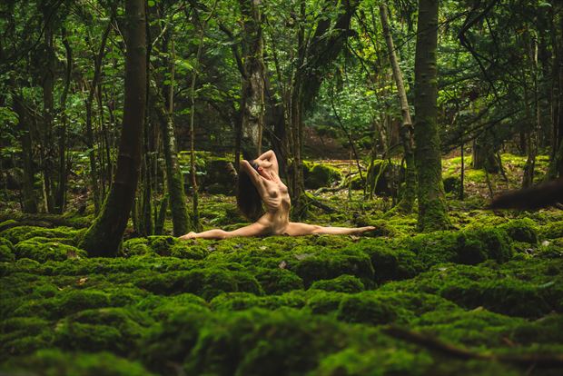 a split in the trees artistic nude photo by photographer neilh