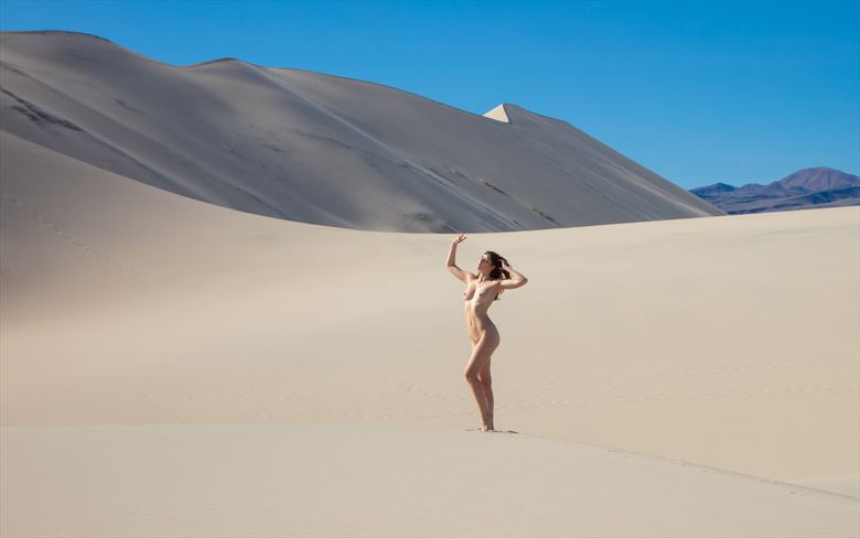 a symphony of sand and curves figure study photo by photographer lightworkx
