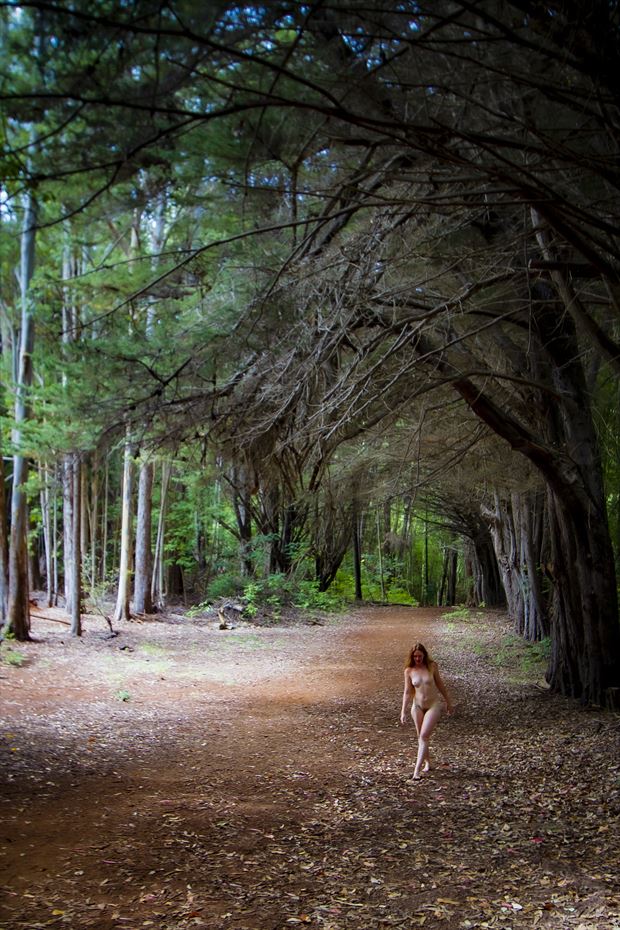 a walk under the tall ones artistic nude photo by photographer opp_photog