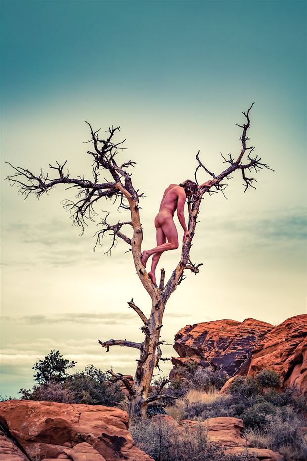 abandoned artistic nude photo by model shawn alfie 