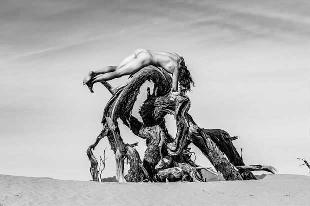 abandoned artistic nude photo by model shawn alfie 