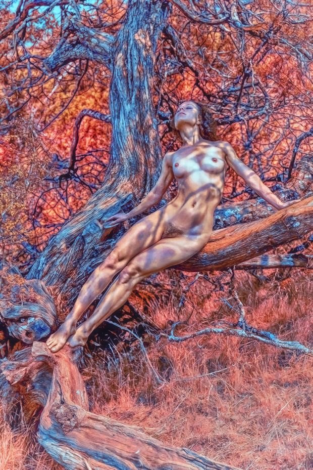 ablaze artistic nude photo by photographer philip turner