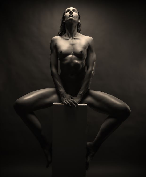 above artistic nude photo by model bianca giurgiu