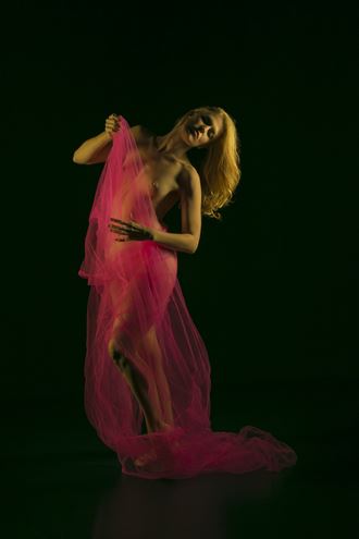 adding color artistic nude artwork by photographer felrod 