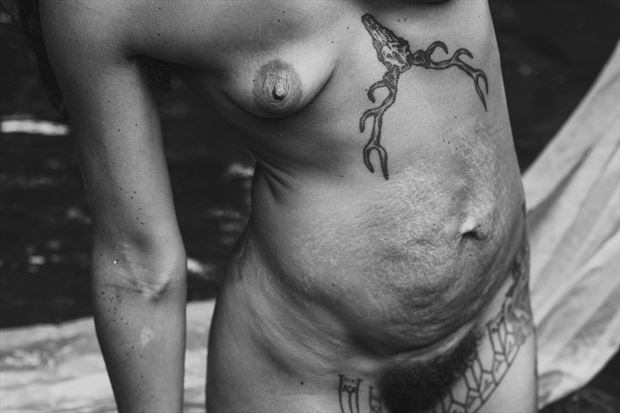 adorn artistic nude photo by photographer crimson fang photo