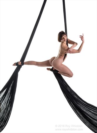 aerial grace i artistic nude photo by photographer roy whiddon