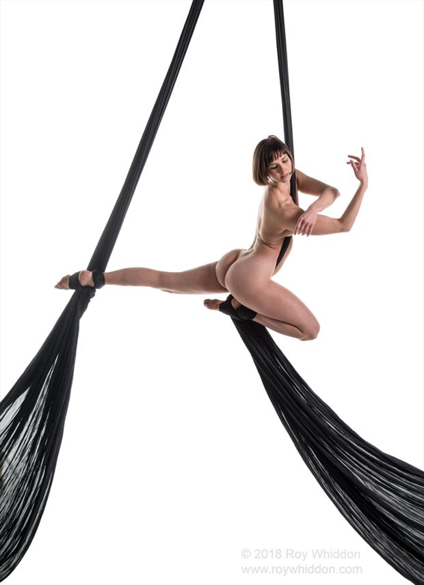 aerial grace i artistic nude photo by photographer roy whiddon