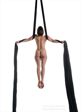 aerial grace iii artistic nude photo by photographer roy whiddon