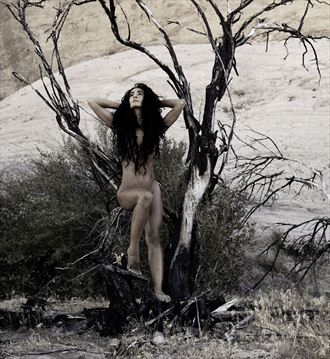 after the fire artistic nude photo by photographer gregb