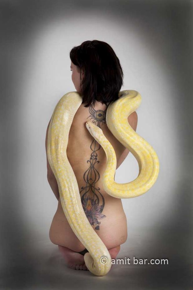 albino python i artistic nude photo by photographer bodypainter