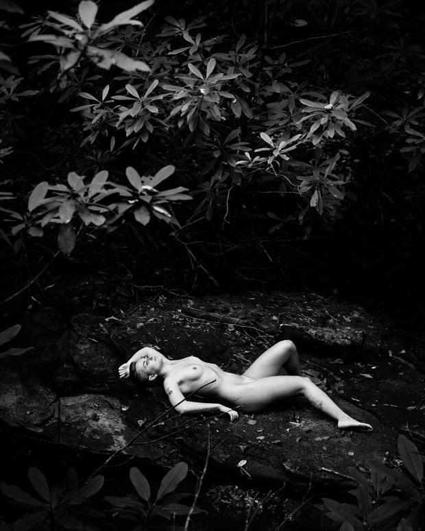 alex with mountain laurel artistic nude photo by photographer stphoto