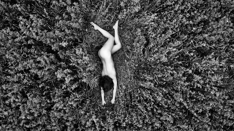 alfalfa Artistic Nude Photo by Model erin elizabeth.