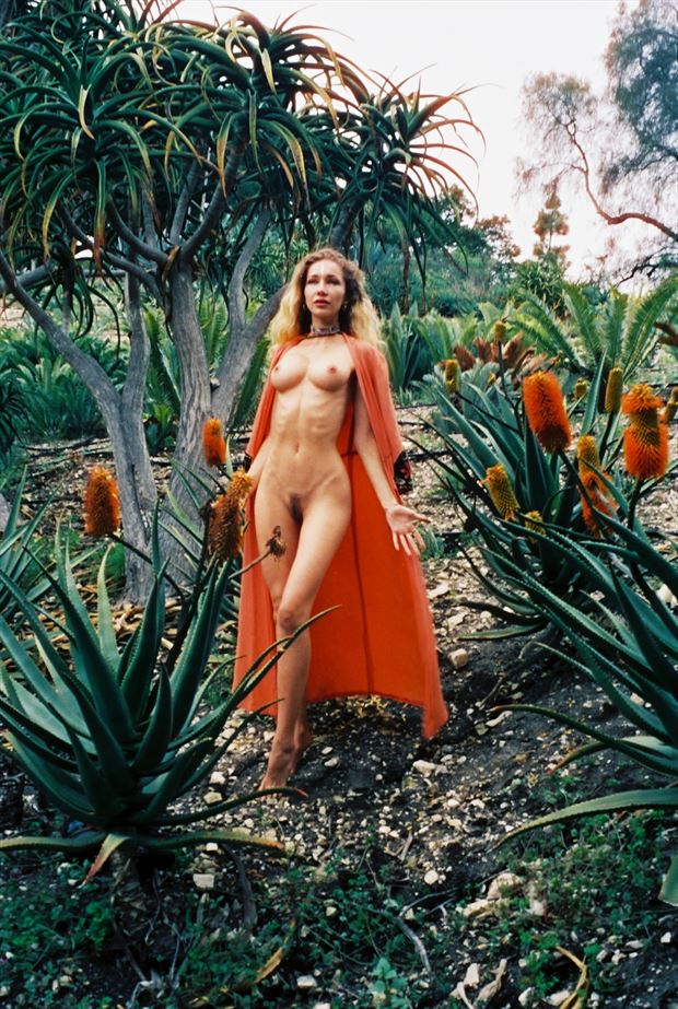 Alice In Aloes Artistic Nude Photo By Photographer Ethan Snacks At