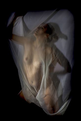 alison rideau 2 artistic nude photo by photographer antoine peluquere