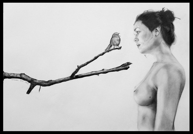 alittlebirdietoldmeso Artistic Nude Artwork by Artist StevenEls