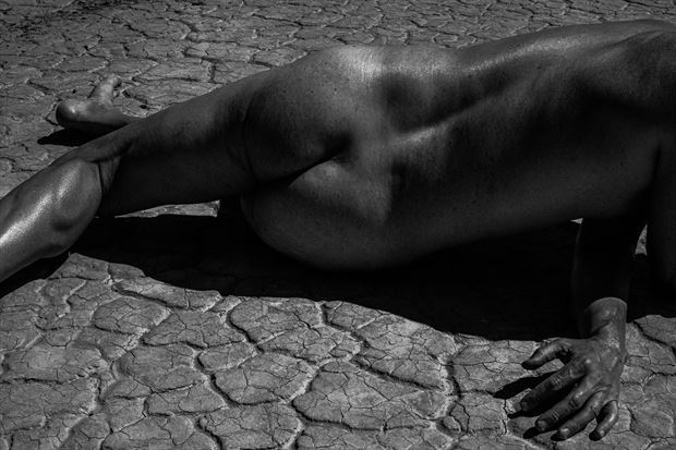 all cracked up artistic nude photo by model phenix raynn