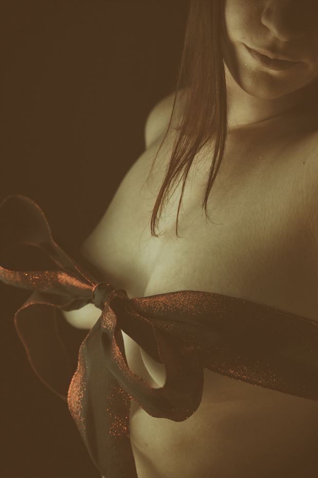 all wrapped up in a bow lingerie photo by photographer gunsmokephoto