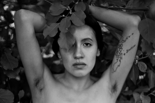 am montoya artistic nude photo by photographer cheshire scott