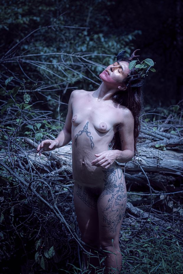 among the branches artistic nude photo by photographer crimson fang photo