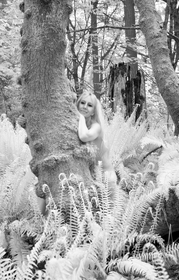 among the ferns artistic nude photo by photographer stormdoctor