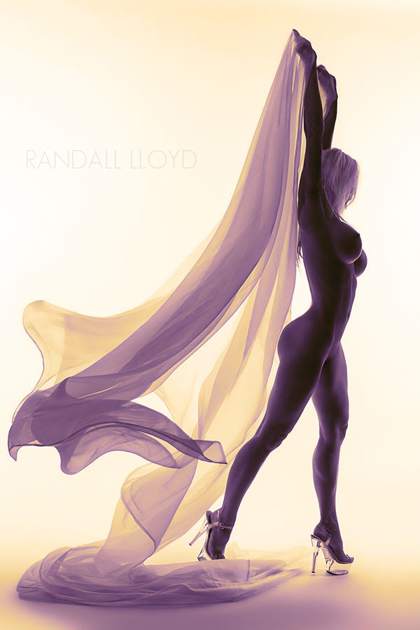 angel artistic nude photo by photographer randalllloyd