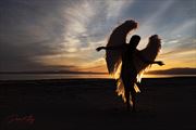 angel at sunset silhouette artwork by photographer dk artistics