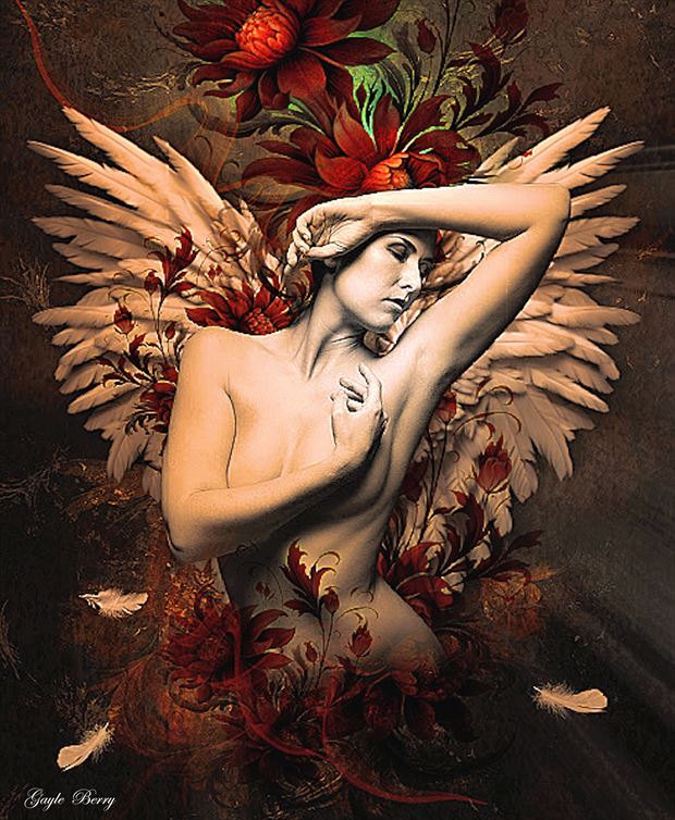 angel feathers artistic nude artwork by artist gayle berry